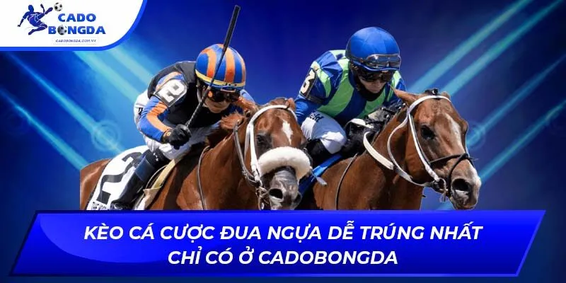 Kèo Cá Cược Đua Ngựa Dễ Trúng Nhất Chỉ Có Ở Cadobongda