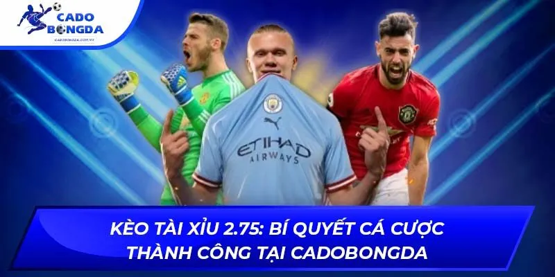 Kèo Tài Xỉu 2.75: Bí Quyết Cá Cược Thành Công Tại Cadobongda