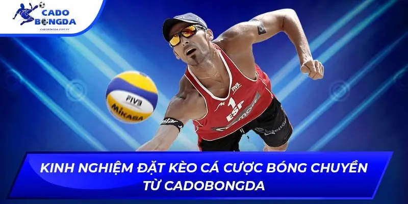 Kinh Nghiệm Đặt Kèo Cá Cược Bóng Chuyền Từ Cadobongda